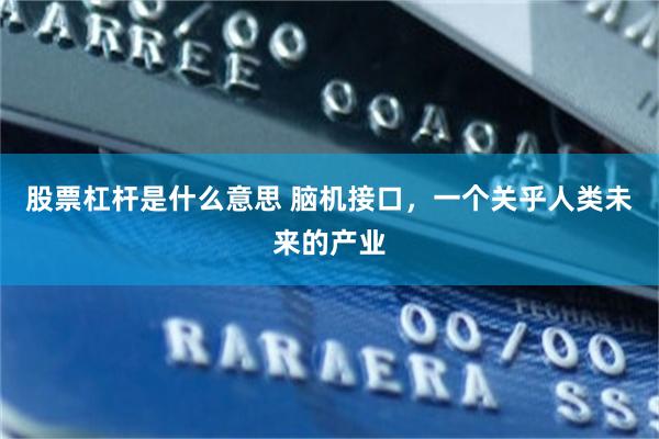 股票杠杆是什么意思 脑机接口，一个关乎人类未来的产业