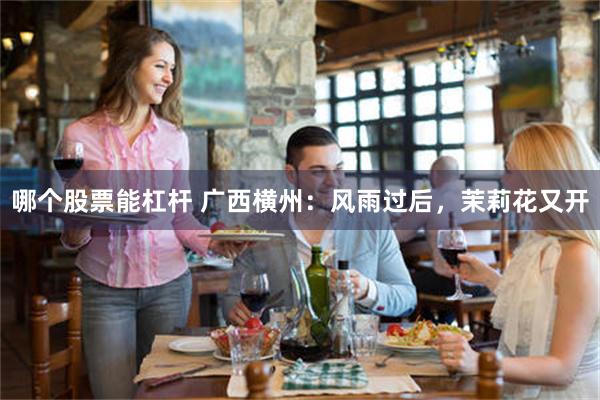 哪个股票能杠杆 广西横州：风雨过后，茉莉花又开